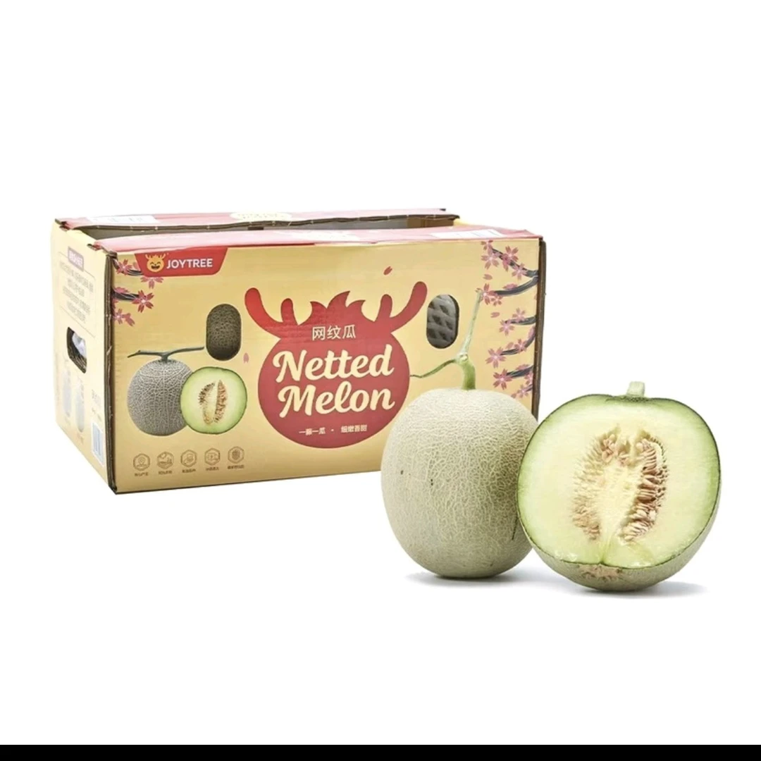 【顺丰次日达】山姆超市代购 网纹甜瓜2粒装 2.4KG山东省新鲜