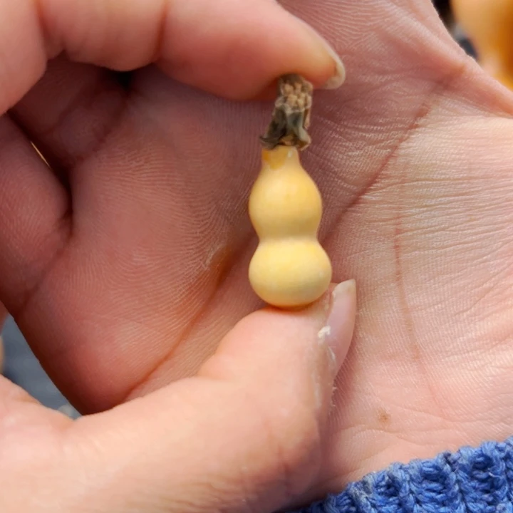 喵*二88888888888888888888