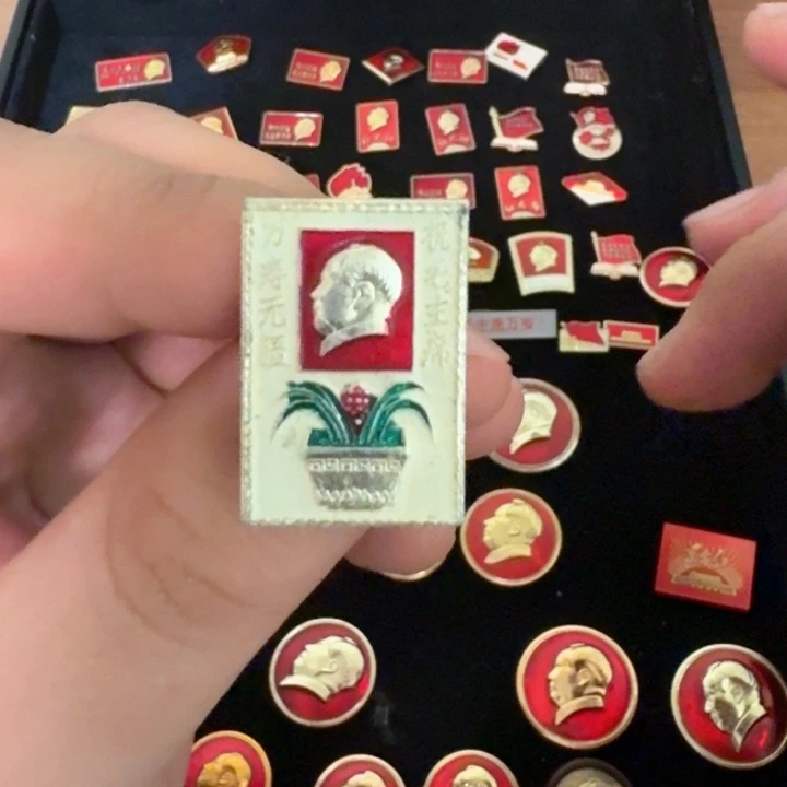 猫*一一一一一一一一一