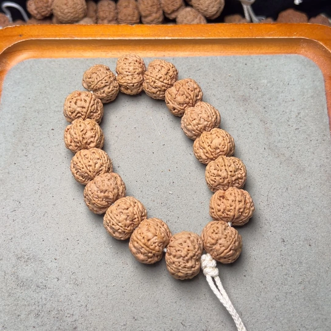 菩提20号金刚菩提满肉六瓣20