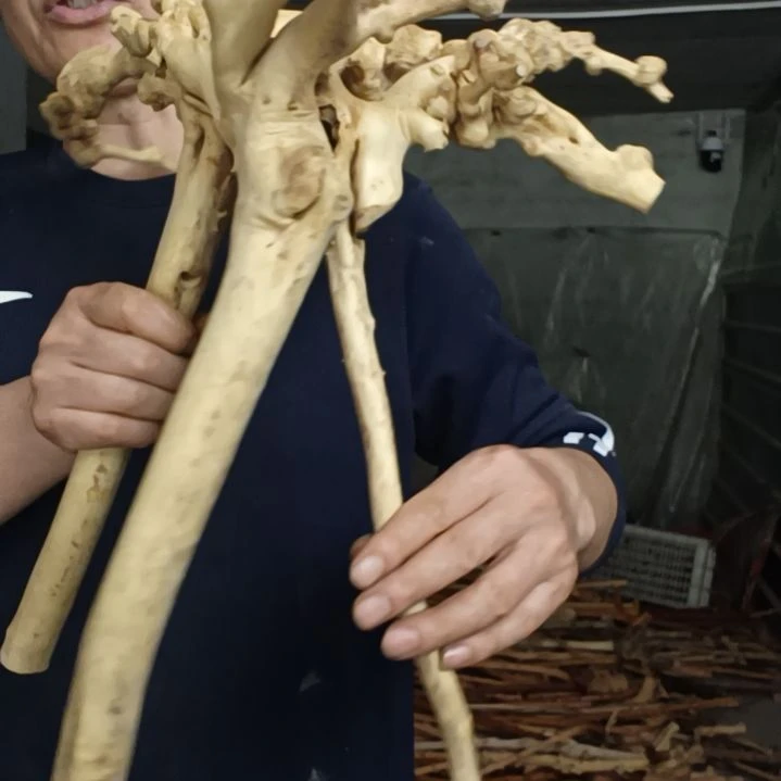 稳定木各**乐高山 檬子木文玩料