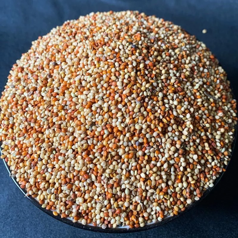 红谷子黄谷子带壳小米布施粮粟谷文鸟玄凤虎皮牡丹鹦鹉鸟粮鸟食