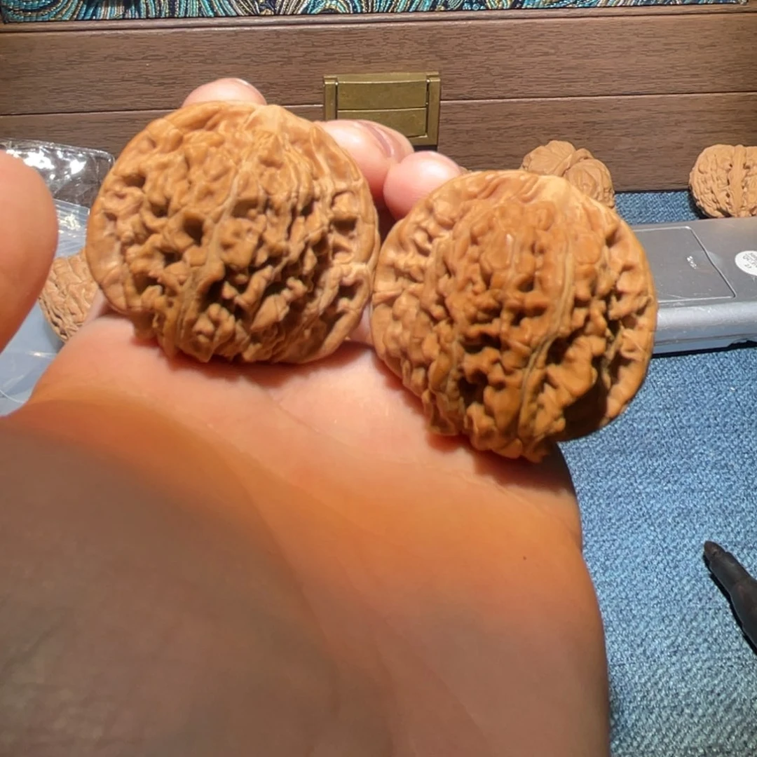 文玩核桃把件555556666666666