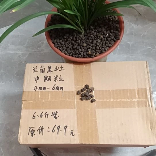 飞***蝶兰菌颗粒中颗粒6.6斤