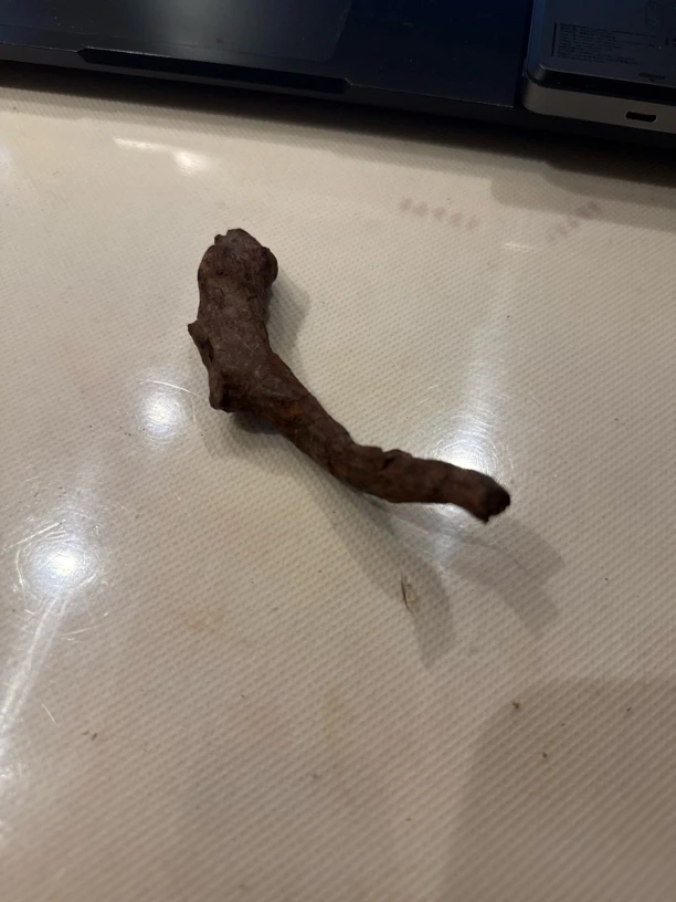 海南黄花梨老料300