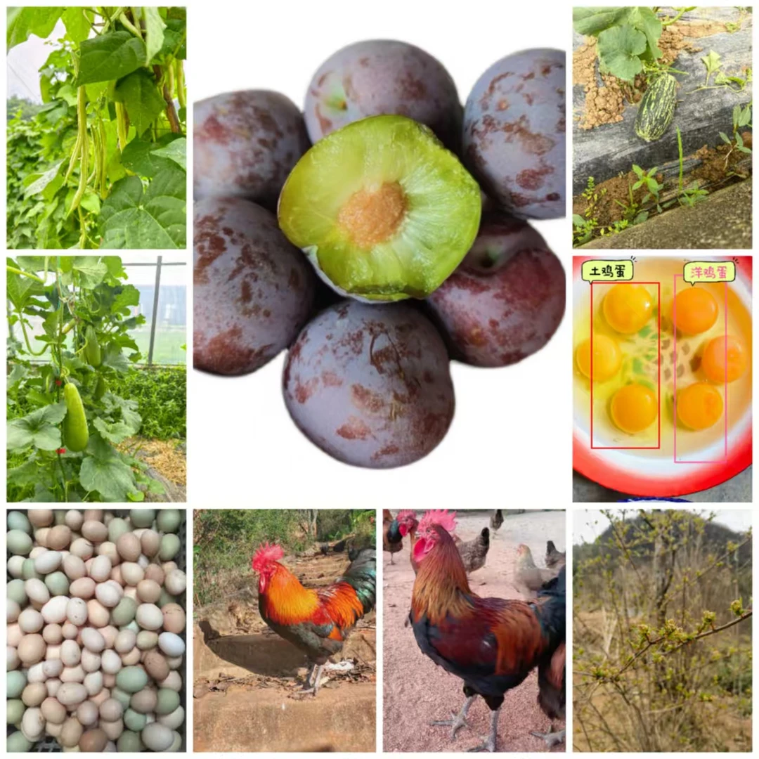 镇巴农村特产 土菜