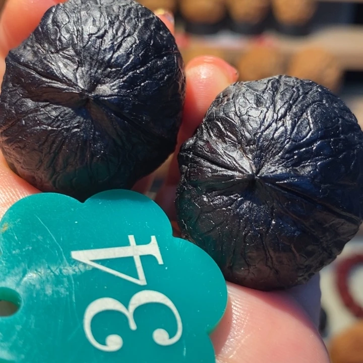 奶黄包地闷35尺寸