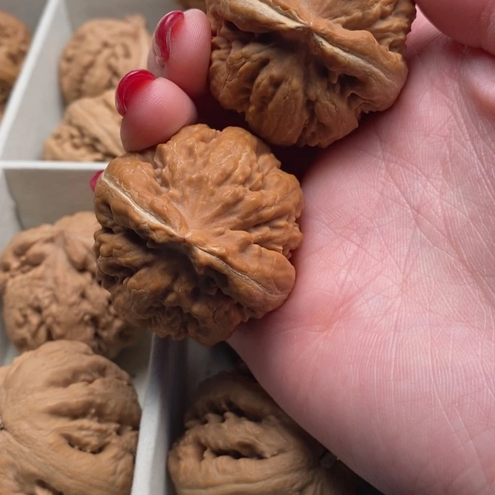 墨***叔霸王龙全品无修一刀没动