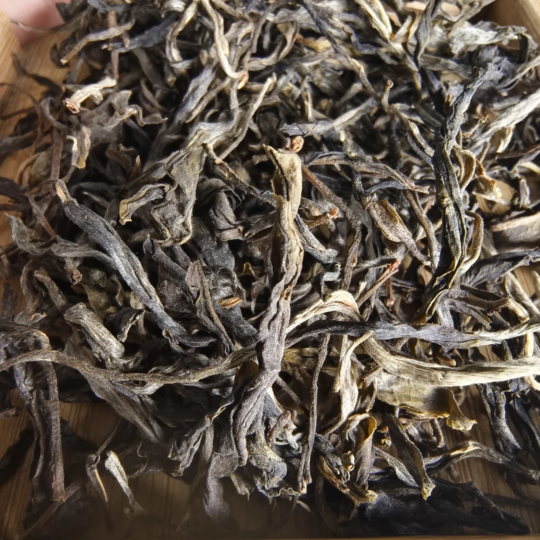 【鑫说】云南普洱·2022年薄荷塘一类古树纯料散生普