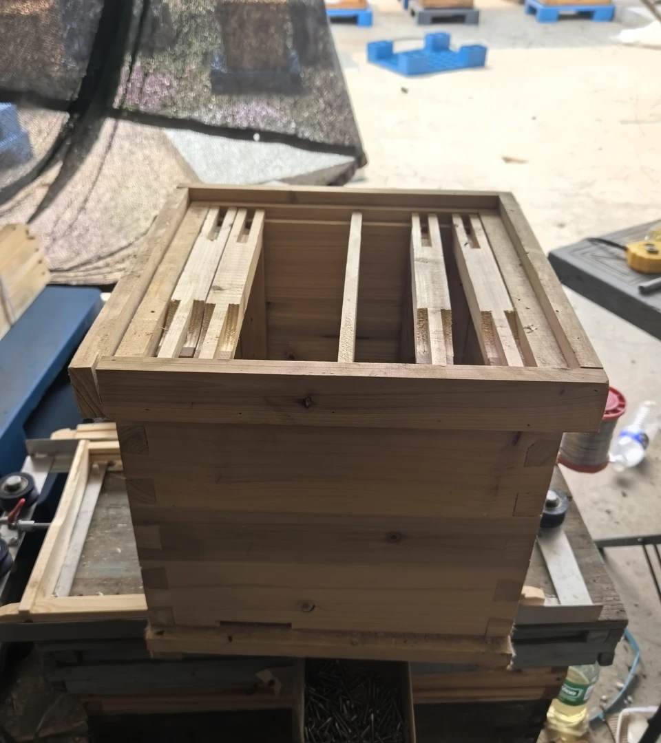 蜜蜂交尾箱养蜂养王专用