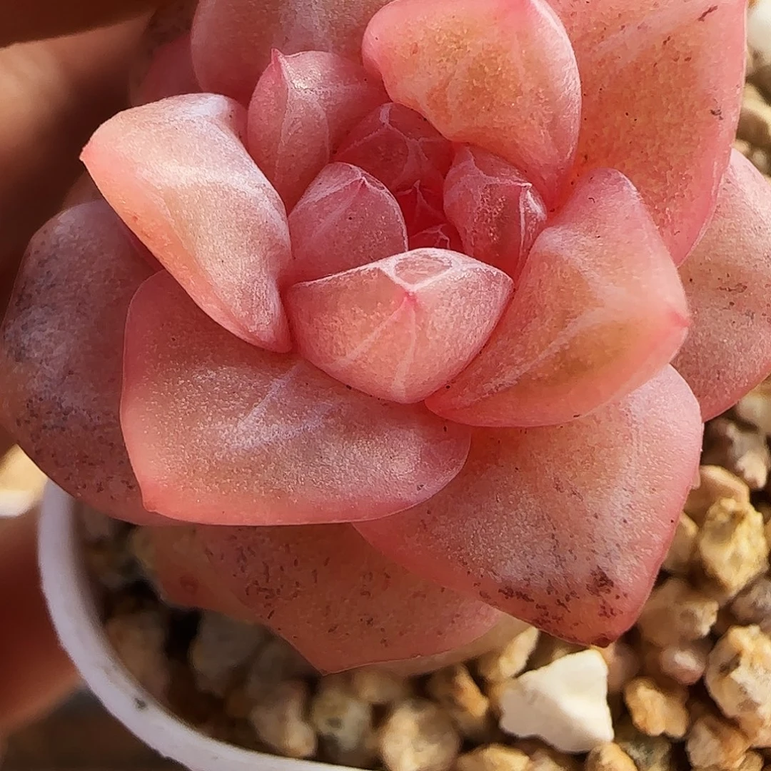 80号哈哈哈哈哈哈