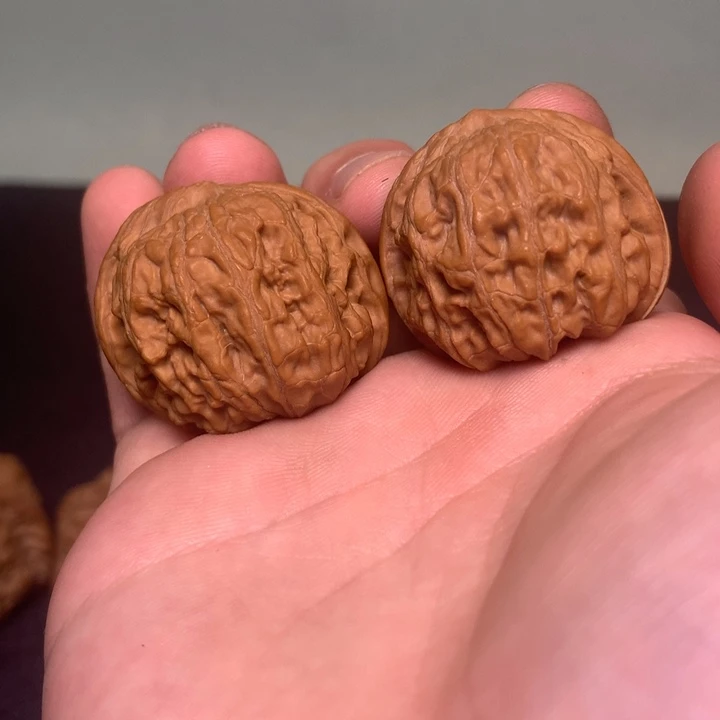 把件文玩核桃37小众品种