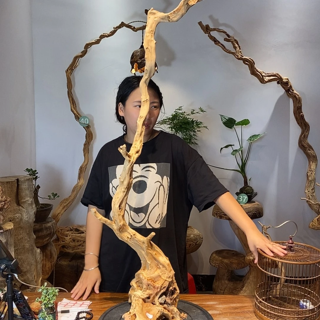 摆件蓝*海天然根雕摆件