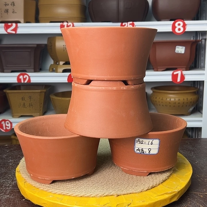 花盆紫砂你在一起