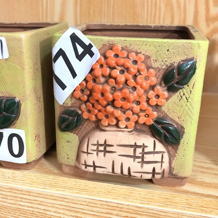 多肉花盆满15包邮