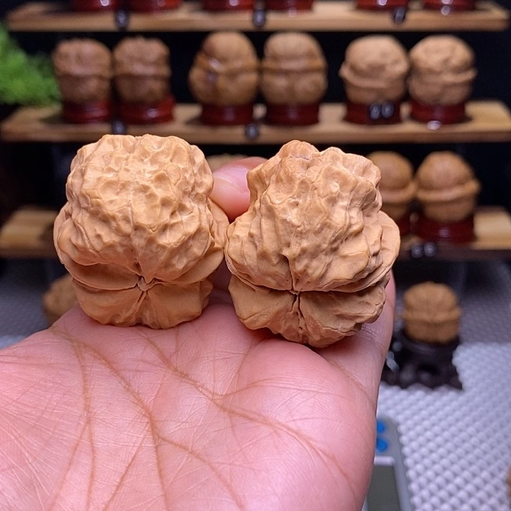 文玩核桃吊坠金尊龙脊11