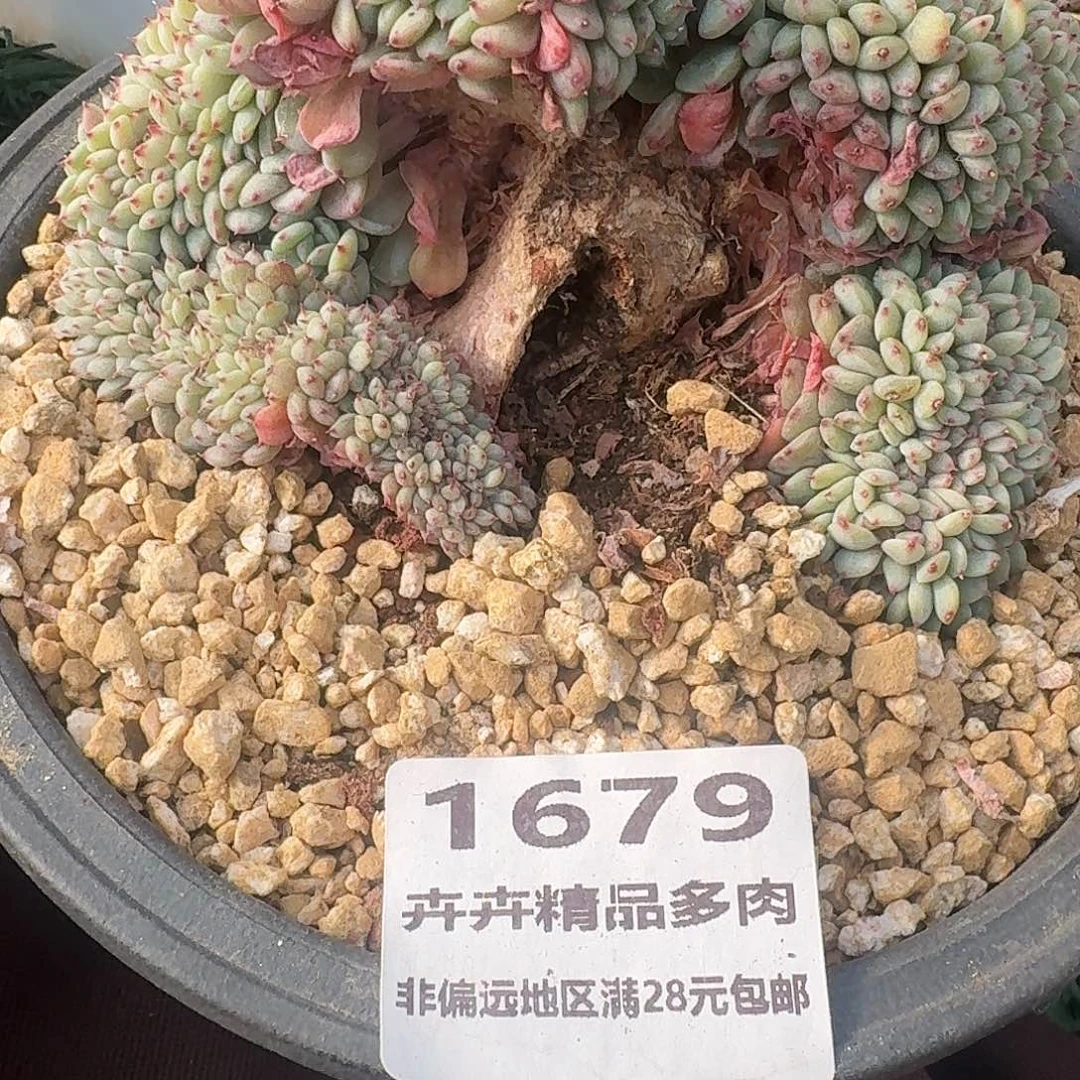 有瑕疵，介意慎拍