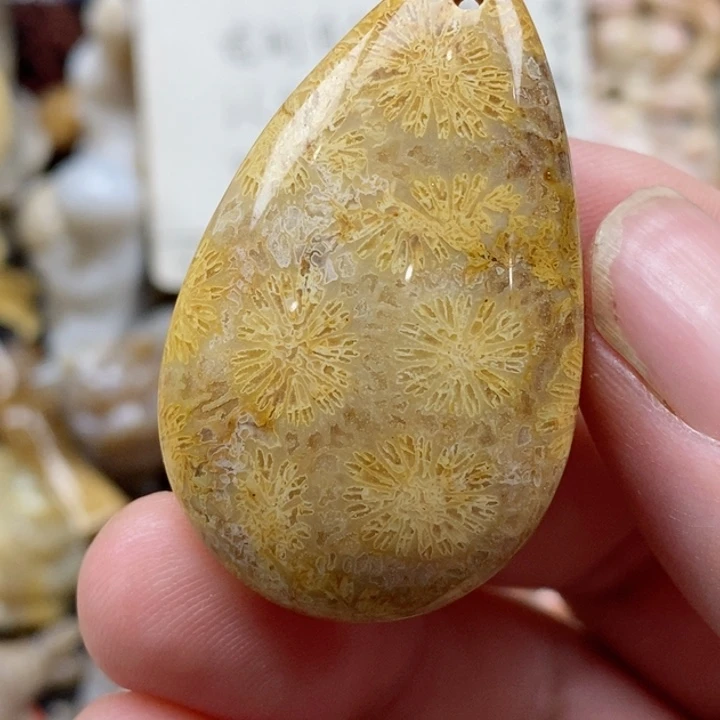 颈饰未镶嵌硅化珊瑚（珊瑚玉）