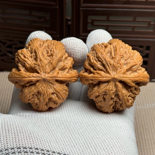 精选老树大粗筋，边49肚50高40，尺寸大克重压手，精卡精配，一物一图