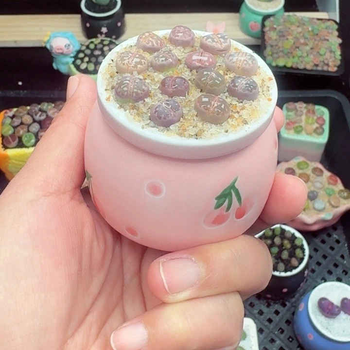 846零下地区记得拍保温箱满18包邮