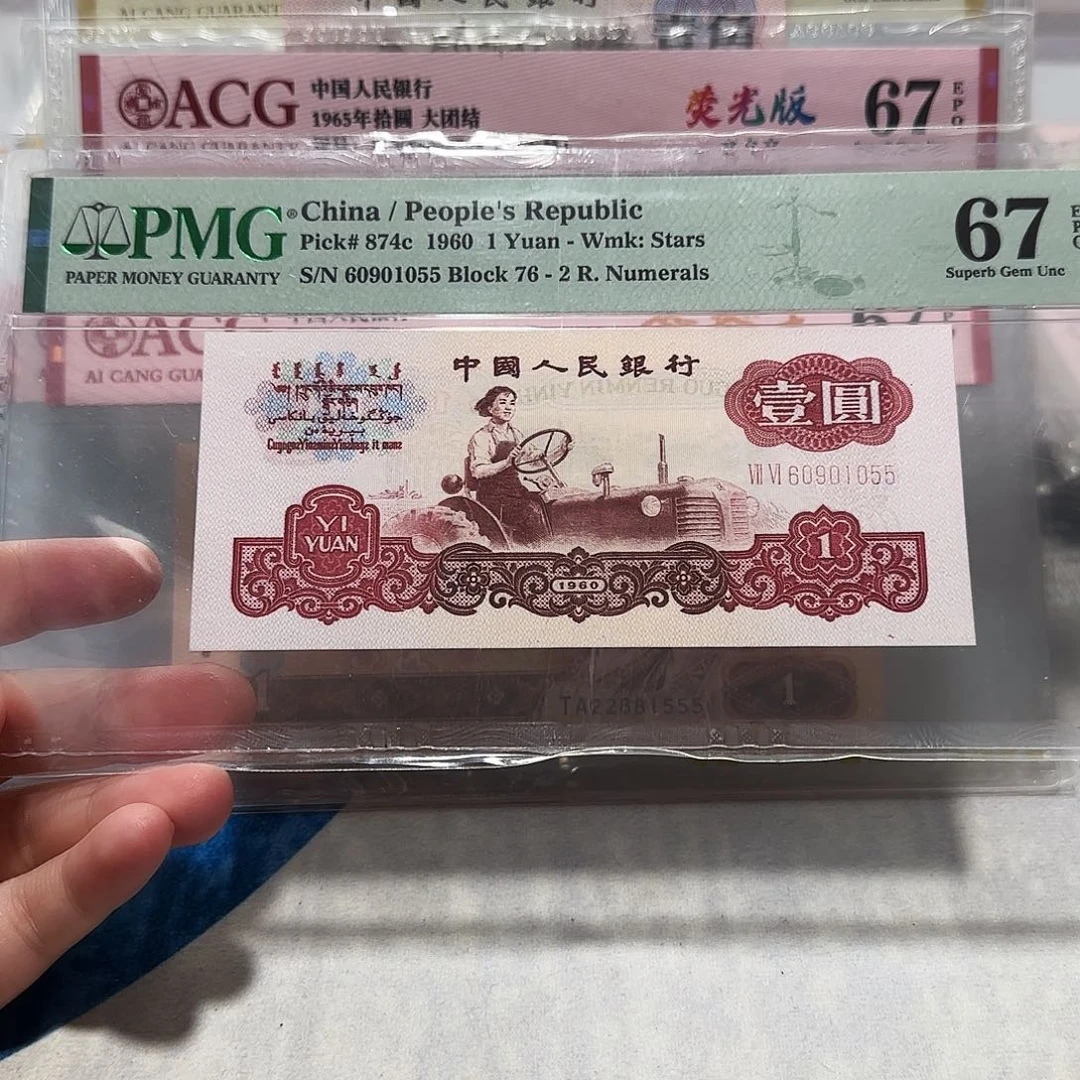 60901055。。。。。小桃红幸运树