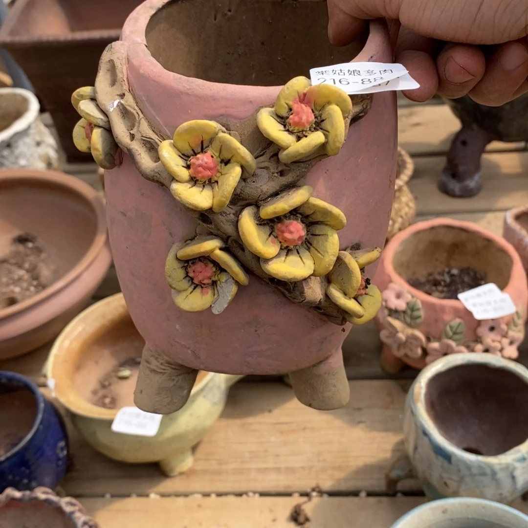 红陶这*大88号多肉盆一个呀