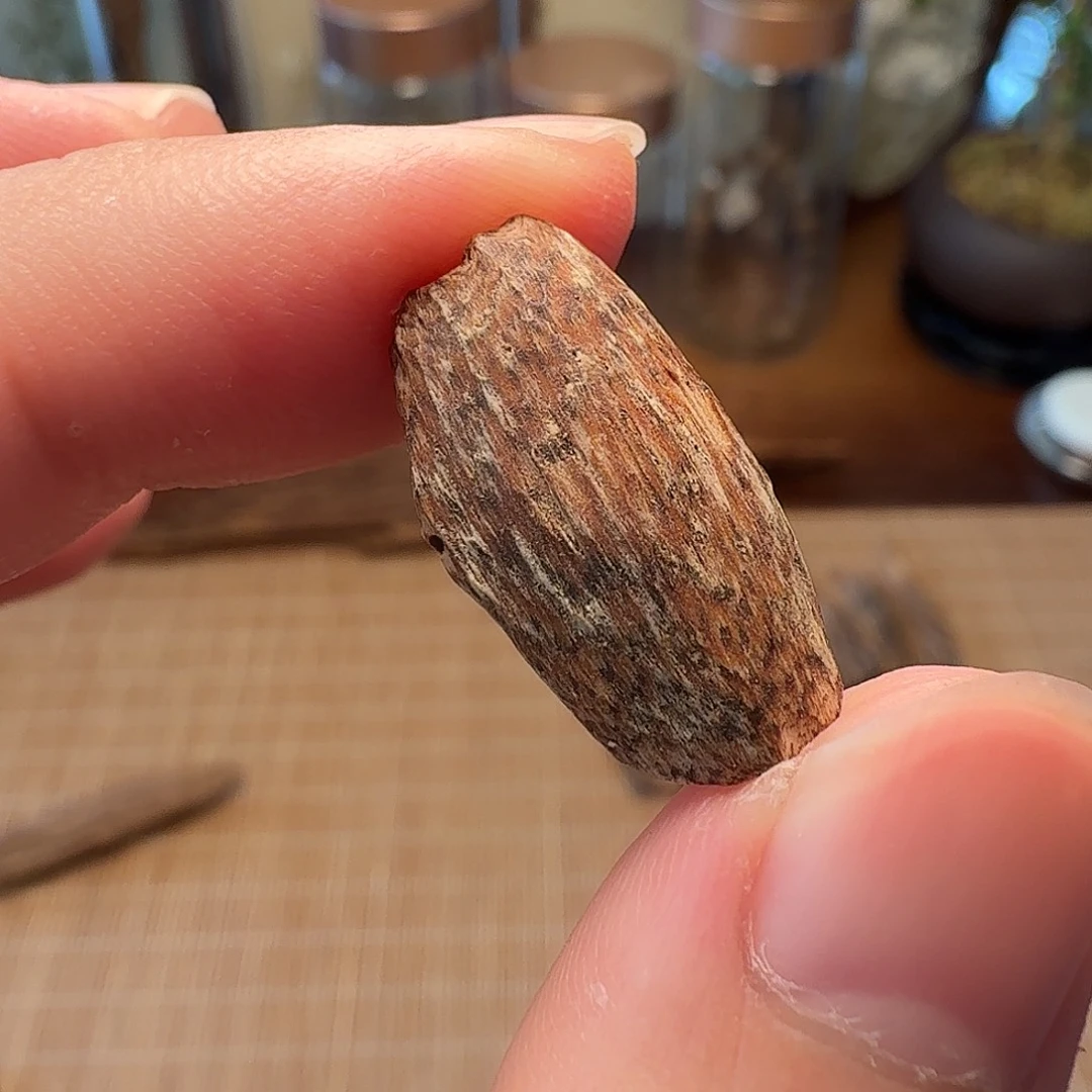 沉香海南黄油格瓜子