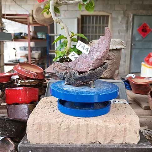 龙***️744////////////////////