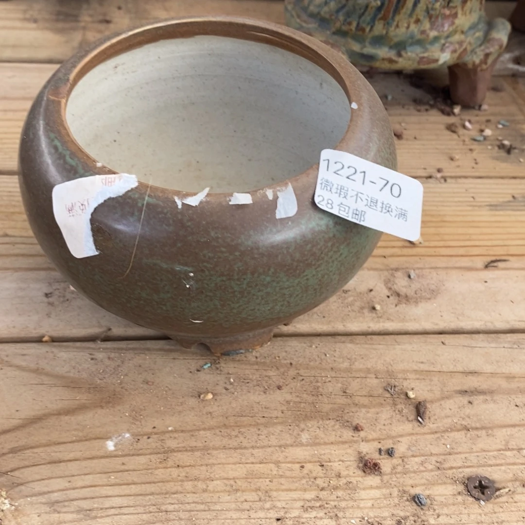 70号多肉盆口径8小可爱