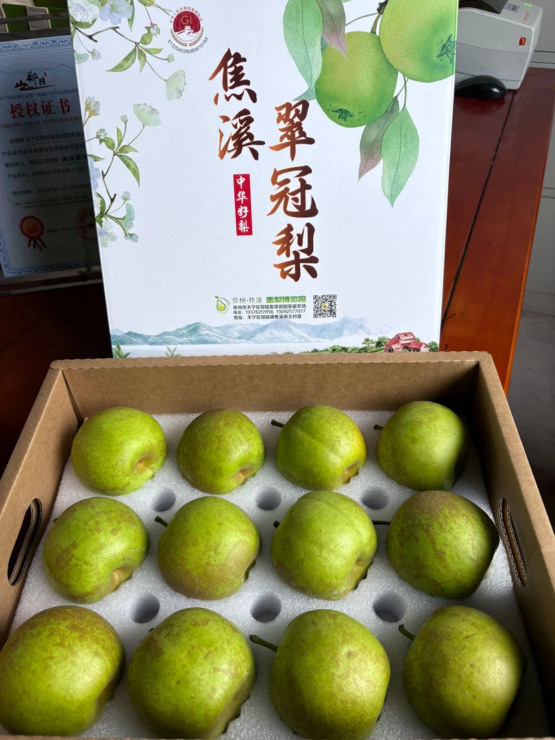 焦溪【翠冠梨】梨园直发  12只装
