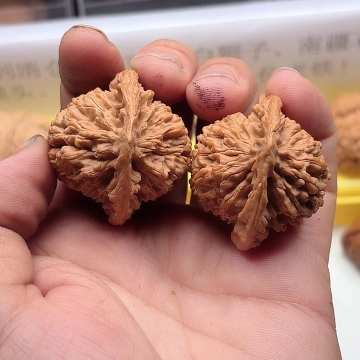 把件文玩核桃满天星练手对