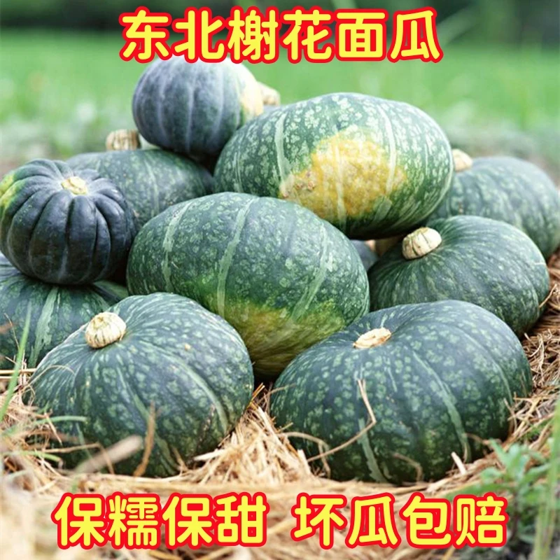 嘎嘎面东北落榭花面瓜吉林农家自种直销甜糯窝瓜老南瓜非贝贝倭瓜