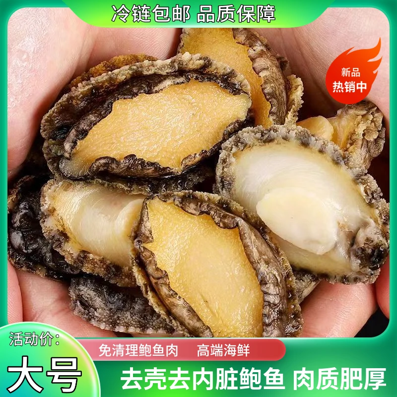 【鲜冻】大号4-6厘米精选鲍鱼肉纯肉现剥个大饱满口感劲道九孔鲍