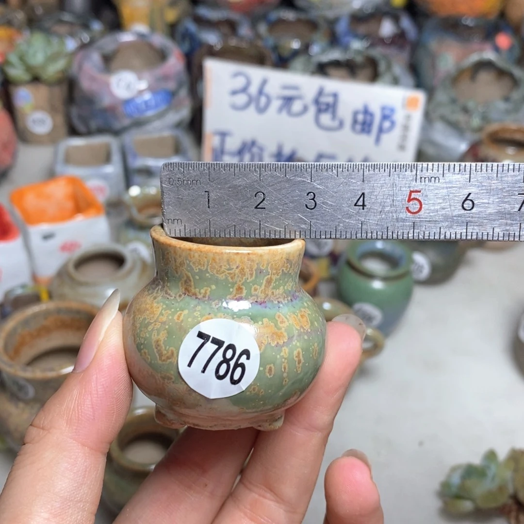 拍5送一个小礼物
