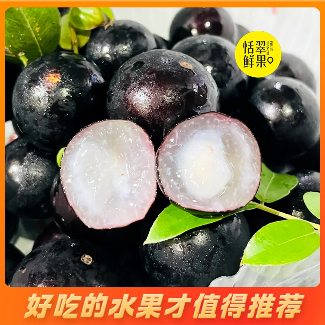 【整果】嘉宝果（盒/约500克）产地现摘直达 多元化的口感~