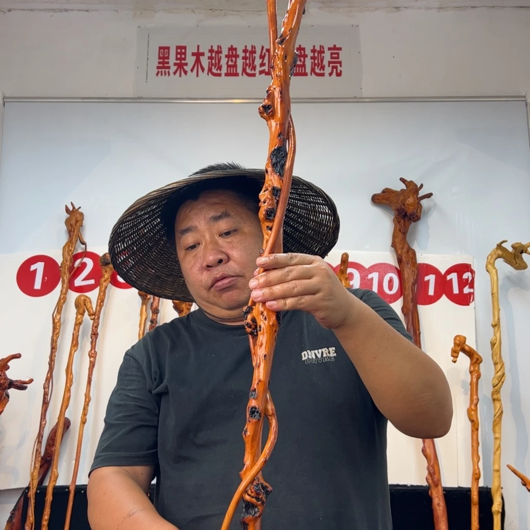 启***房黑果木其他黑果木433