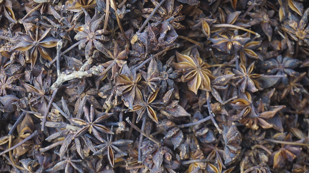 广西八角大料无硫自然风干厨房调料提香去腥新货大茴香