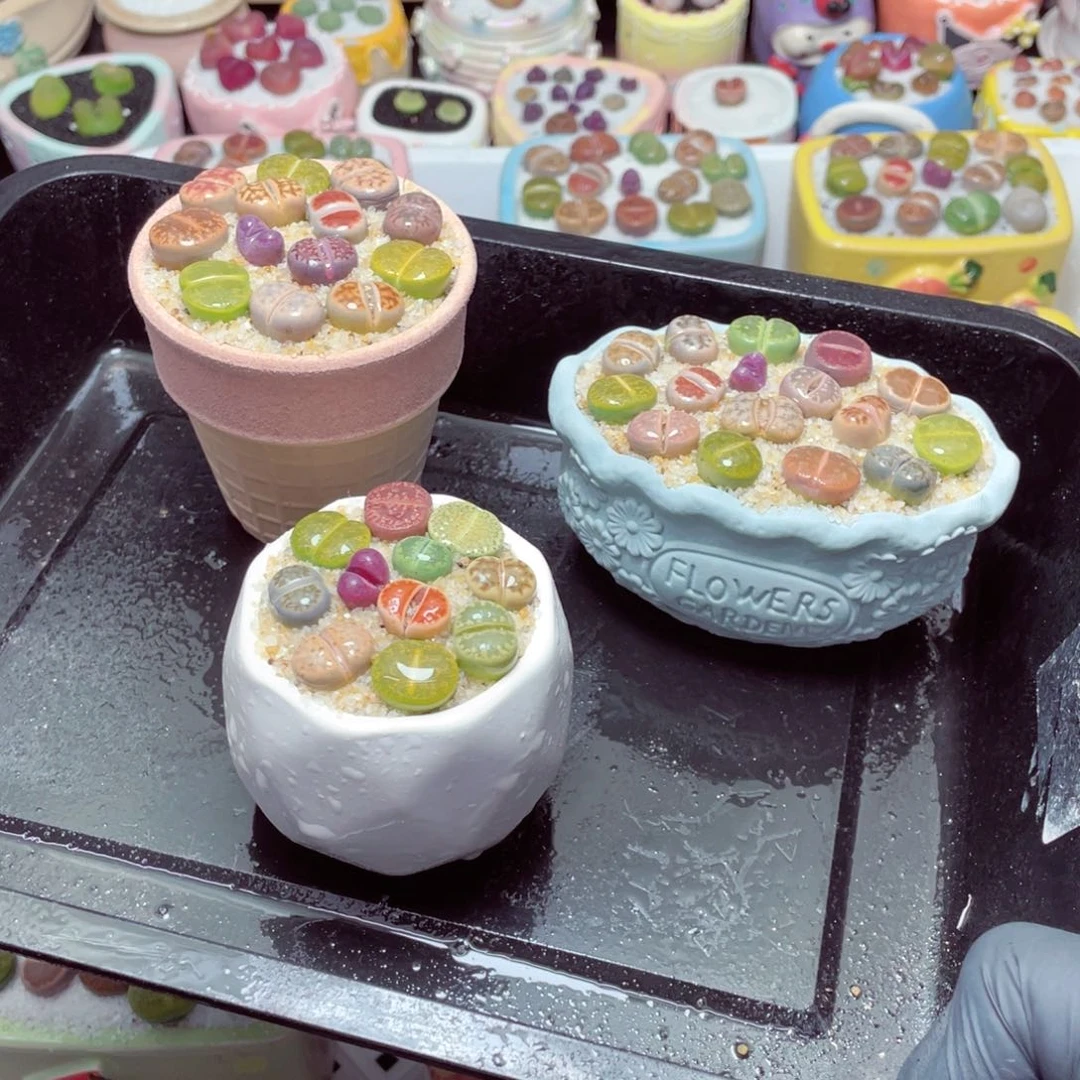 w88888-一份三盆量拍