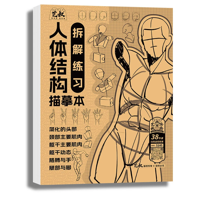 正版人体结构描摹本拆解练习 动态练习 游戏动漫 q版动漫 q版古风
