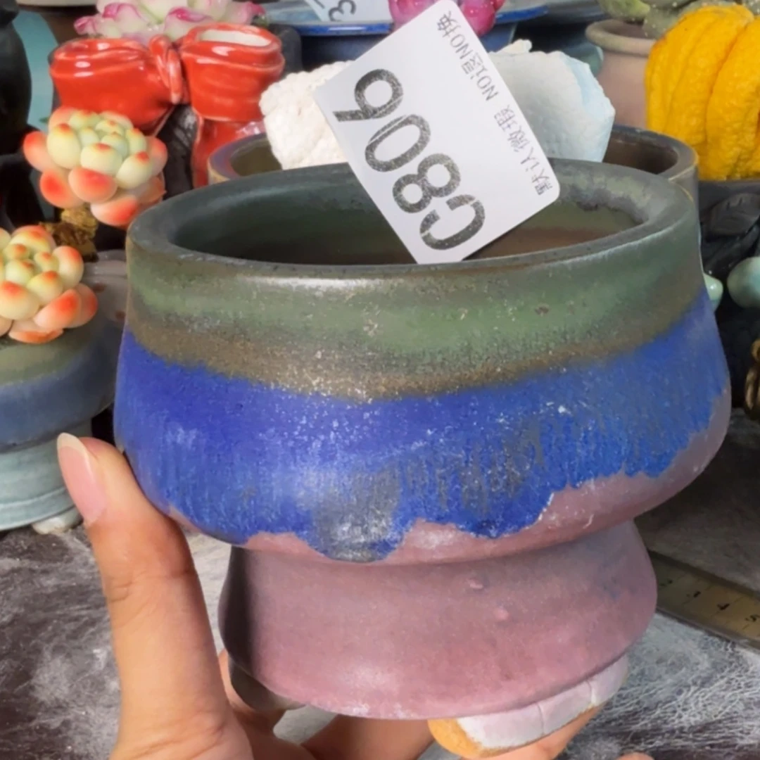 重庆小燕子欢迎大家806