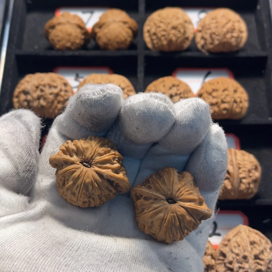 路****云秦皇岛山地磨38