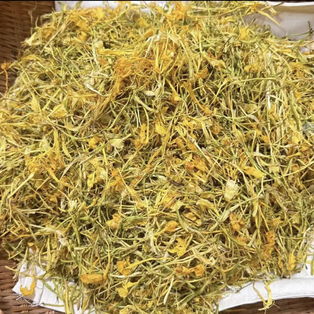 湘西高山高海拔野生开花金银花