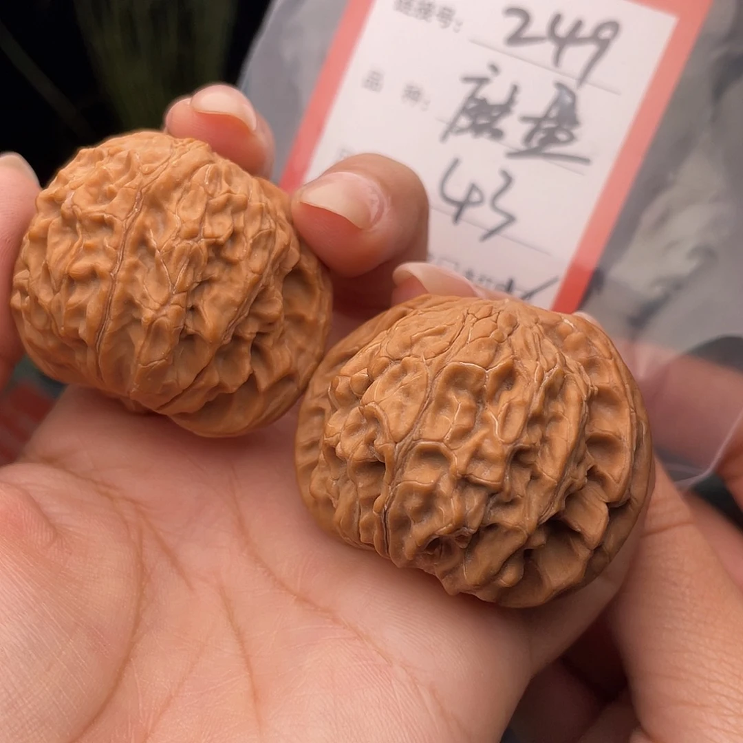 核桃把件文玩核桃249