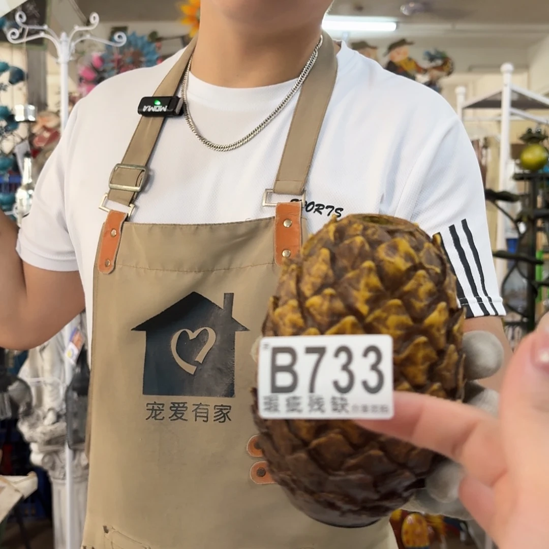 核桃木/黑胡桃（胡桃木）