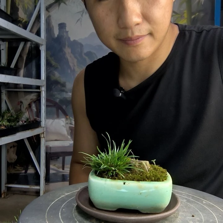 小****0中青园艺一物一拍266