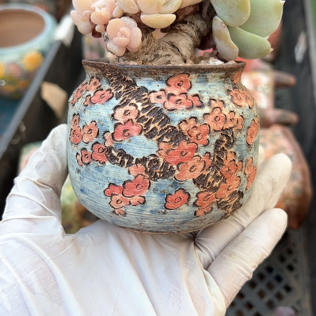 雅亚专拍韩盆大米