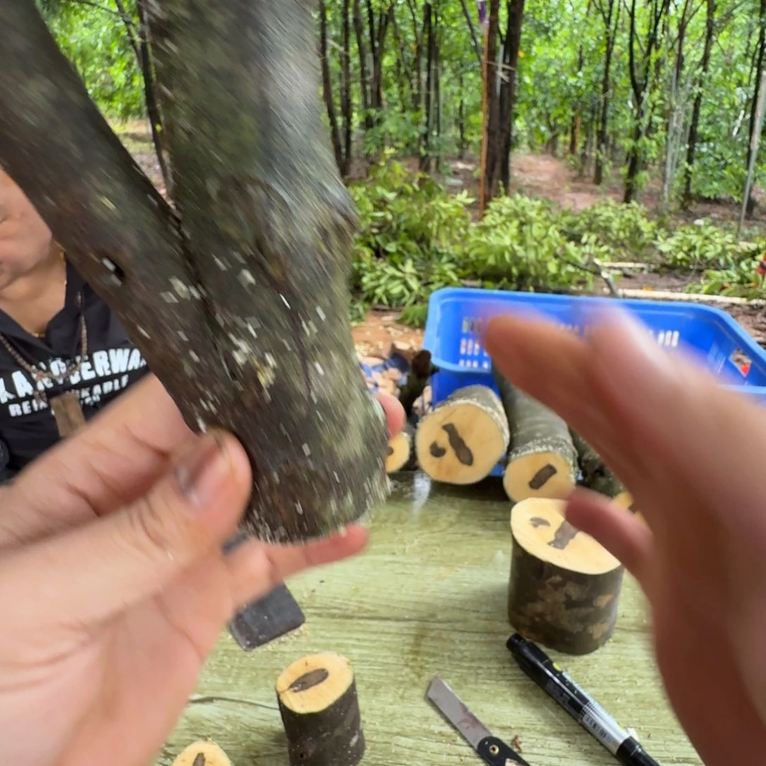 线香奇楠沉香原木