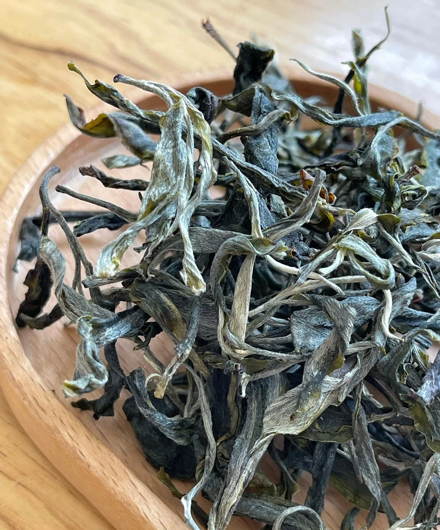 冰岛50老寨:2025年——核心向阳地块500克普洱茶生茶夏茶