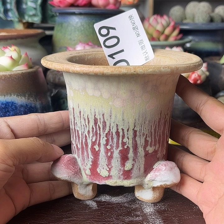 重庆小燕子欢迎大家109