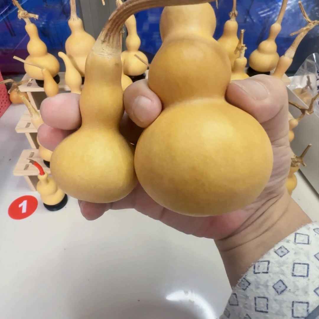 堃**龙和龙的八宝葫芦葫芦